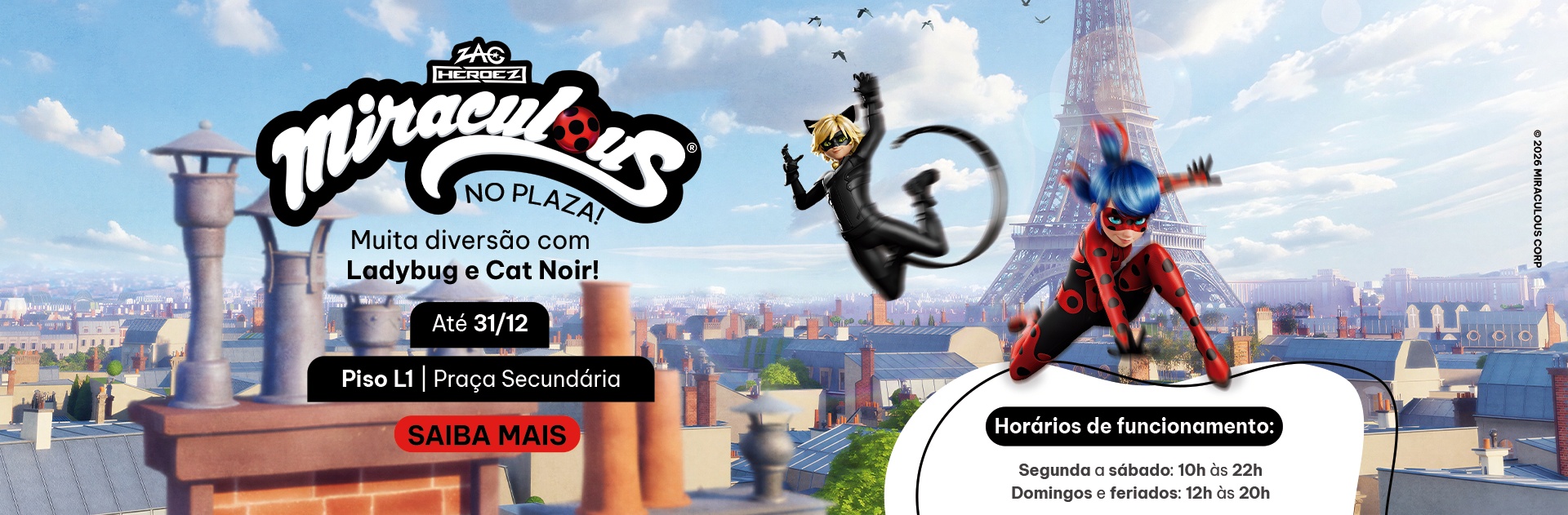 banner_ladybug_1024kb.jpg
